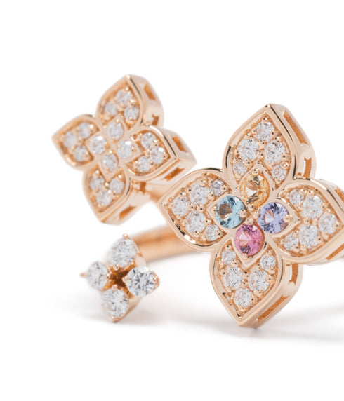 ANILLO